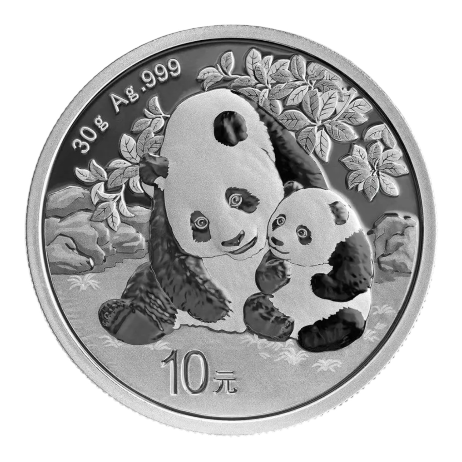 Le Panda en Argent Fin de 30 grammes